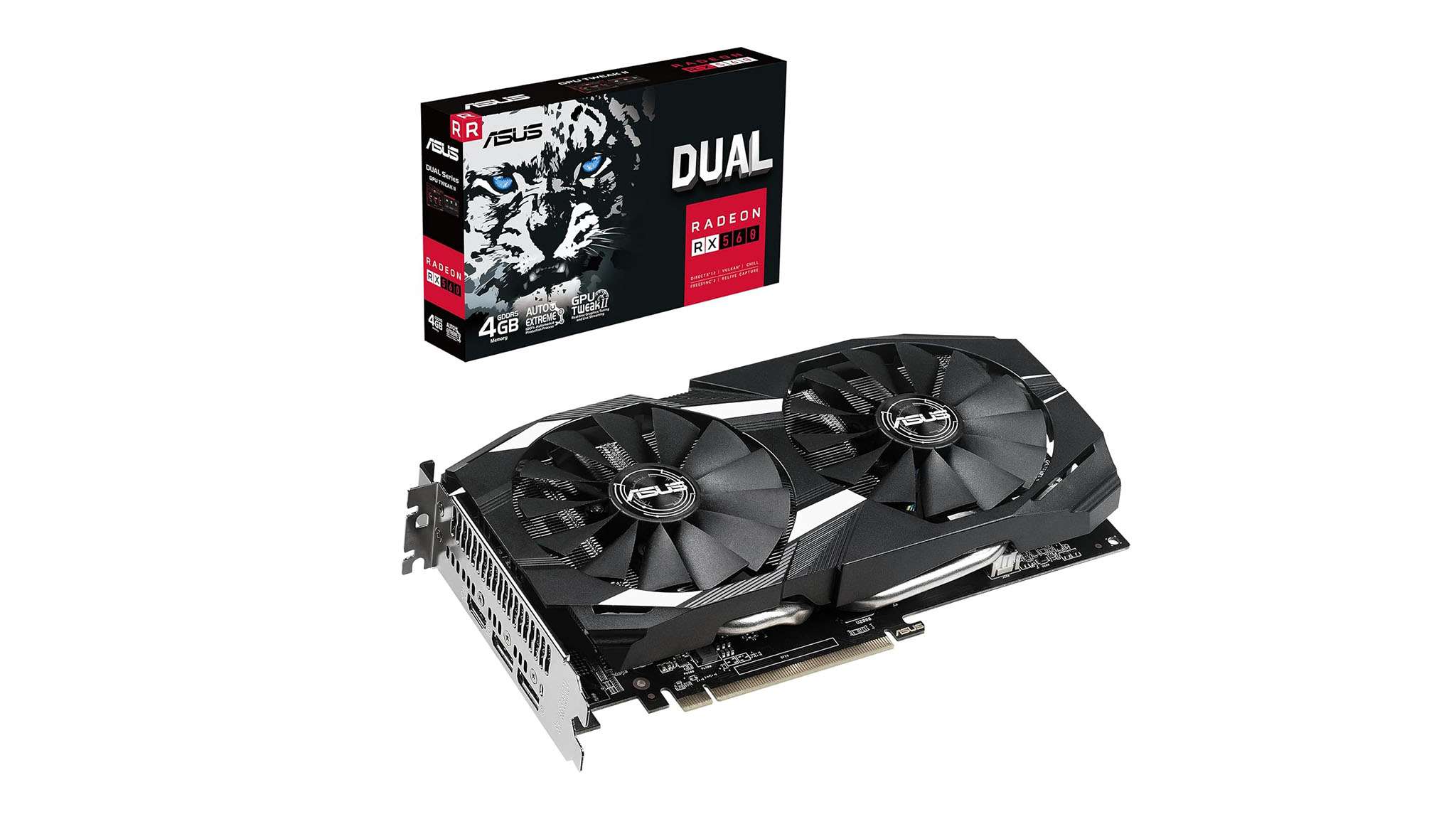 能力在新赛 能力在新赛