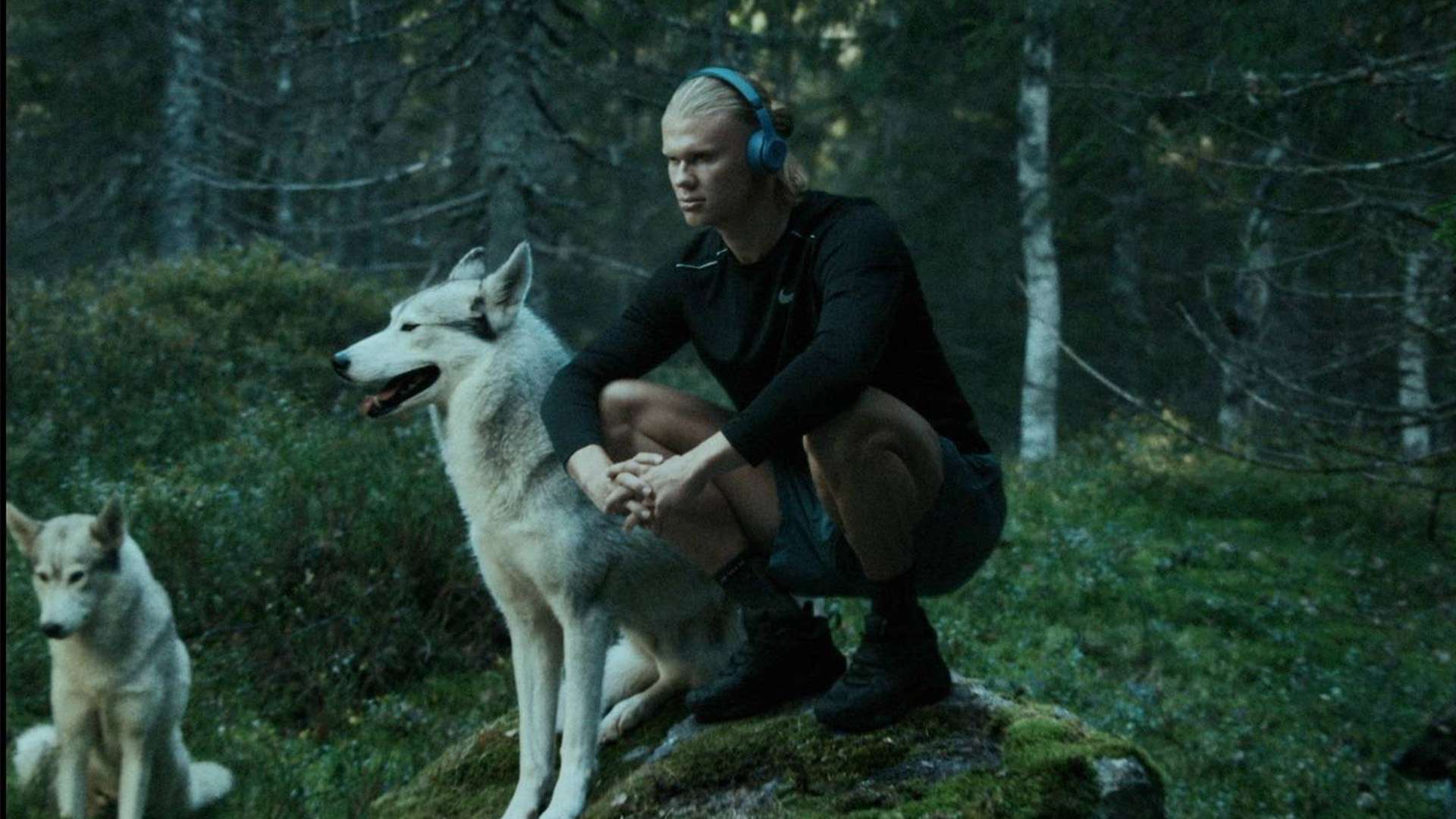 令全场哗然 令全场哗然